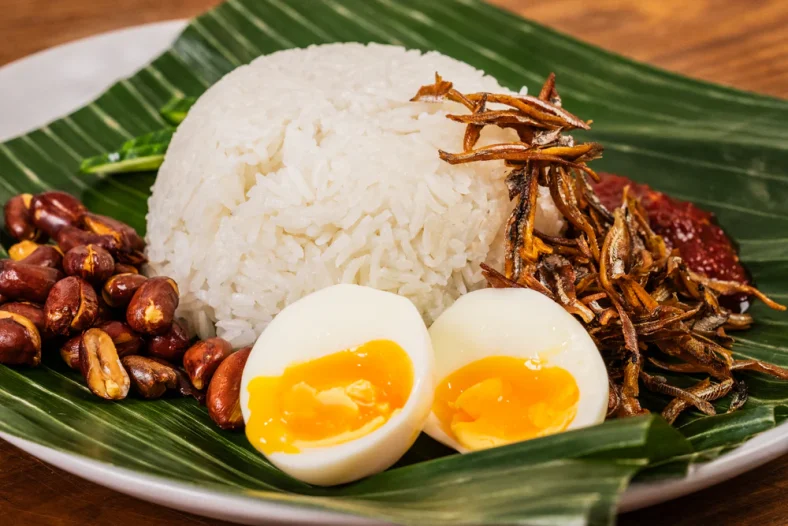 Makanan Nasi Lemak